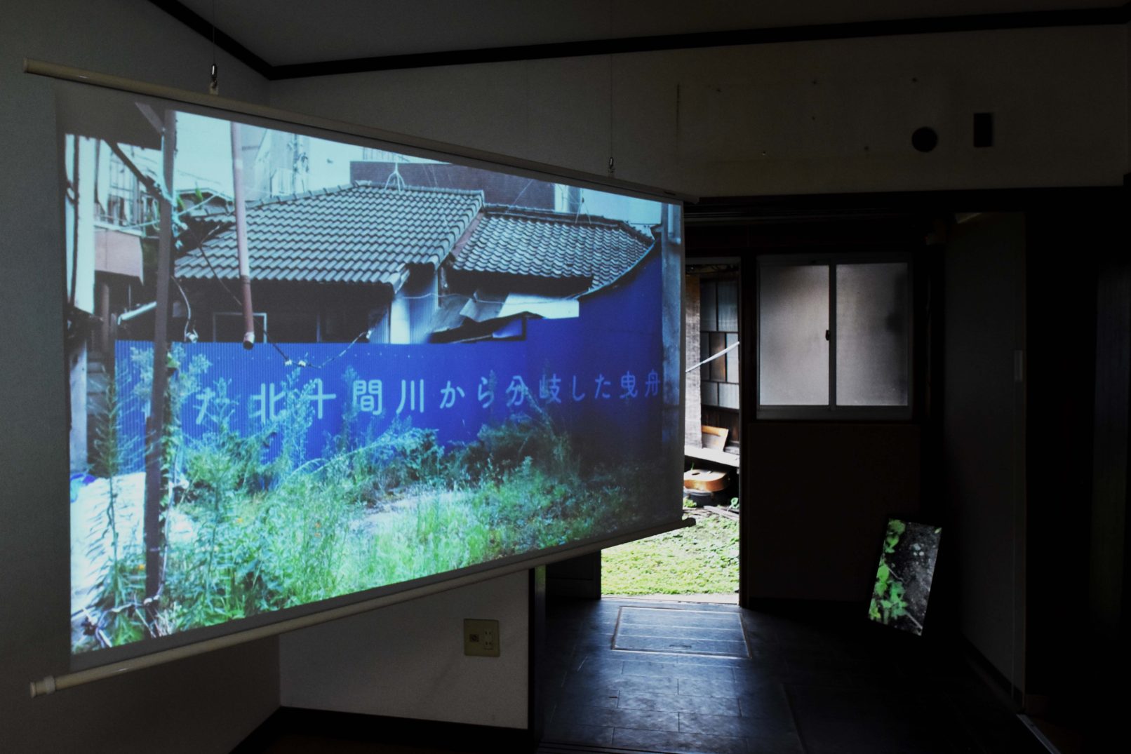 オストラコンの庭